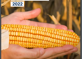 Estado de los Biocombustibles Liquidos de las Américas 2022