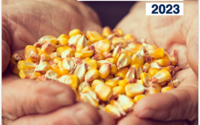 Atlas de los Biocombustibles Líquidos 2022-2023