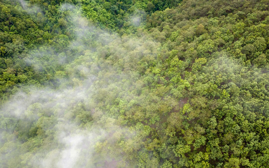 Mitos sobre el uso de biocombustibles: El etanol como solución efectiva a corto plazo para la limpieza del aire en Guatemala