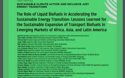 El futuro de los biocombustibles líquidos en la descarbonización del transporte