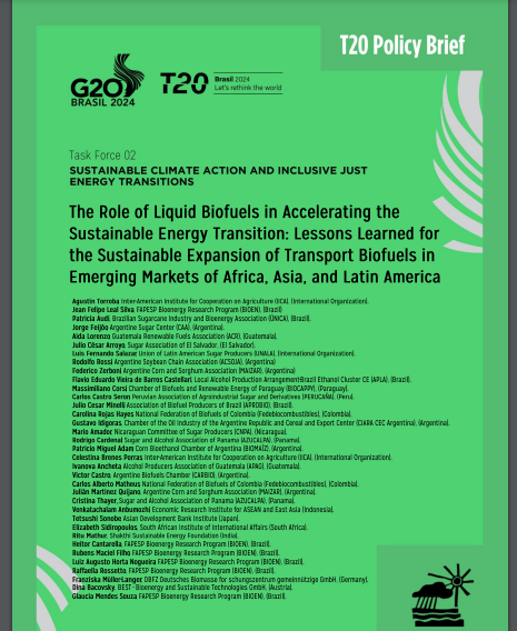 El futuro de los biocombustibles líquidos en la descarbonización del transporte