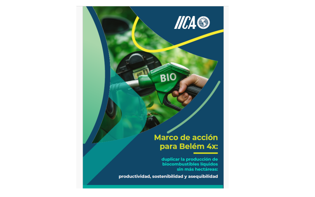 Biocombustibles y Etanol: Clave Estratégica para la Descarbonización sin Expandir la Frontera Agrícola